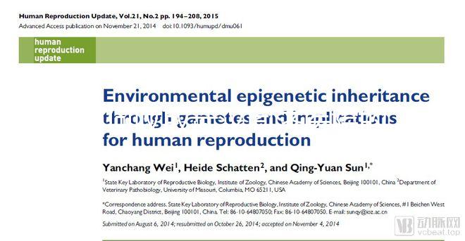 如何收取武漢同濟醫院的養囊費？查看最新試管費用明細估算？