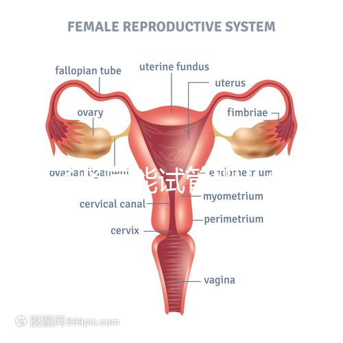 得了腎病能試管嬰兒懷孕嗎？哪些腎臟病不適宜懷孕？