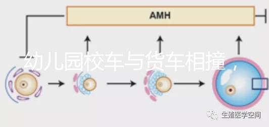 幼兒園校車與貨車相撞，乘坐校車要告訴寶寶注意事項(xiàng)！