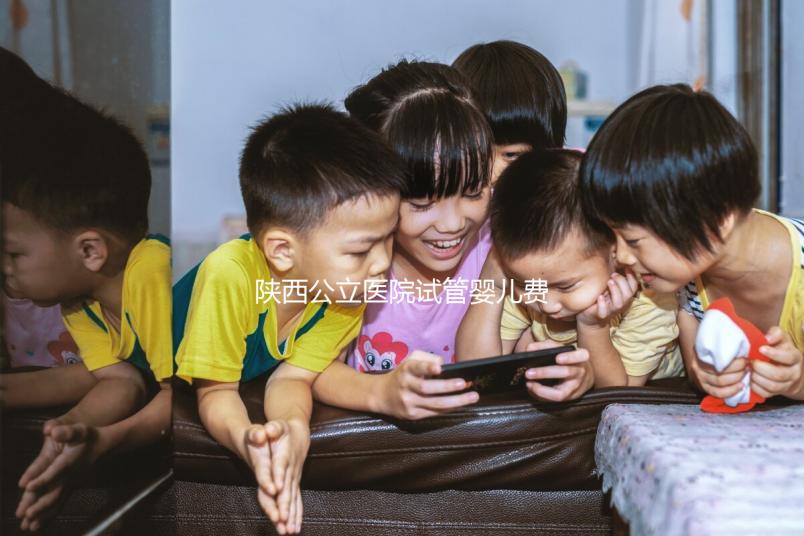 陜西公立醫(yī)院試管嬰兒費(fèi)用明細(xì)表，2024助孕一次多少錢看這