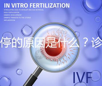 胎停的原因是什么?診斷鑒別80%是精子問題