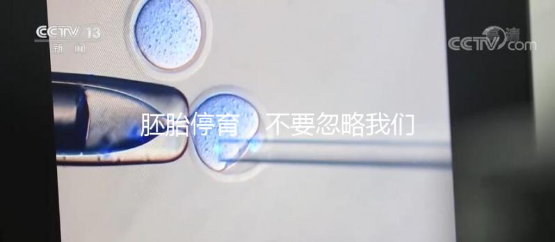 胚胎停育，不要忽略我們身邊的“隱形殺手”