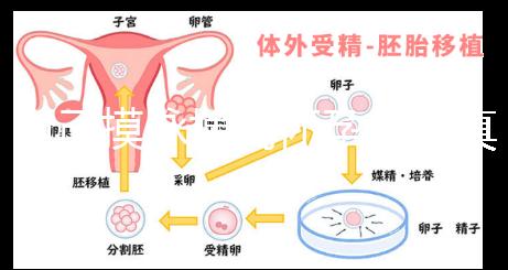 自己摸脈搏測懷孕方法真不難，想準確率高關鍵是找對手法