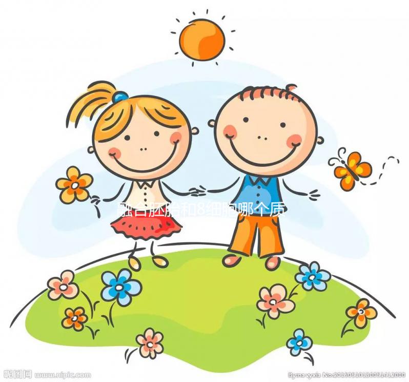 融合胚胎和8細(xì)胞哪個質(zhì)量好大揭秘,二者區(qū)別看完就懂