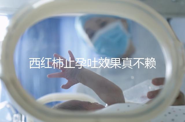 西紅柿止孕吐效果真不賴，選小的生吃或加雞蛋打湯都行