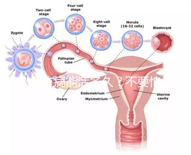 血友病能活多久？不要怕!注意這些同常人無異