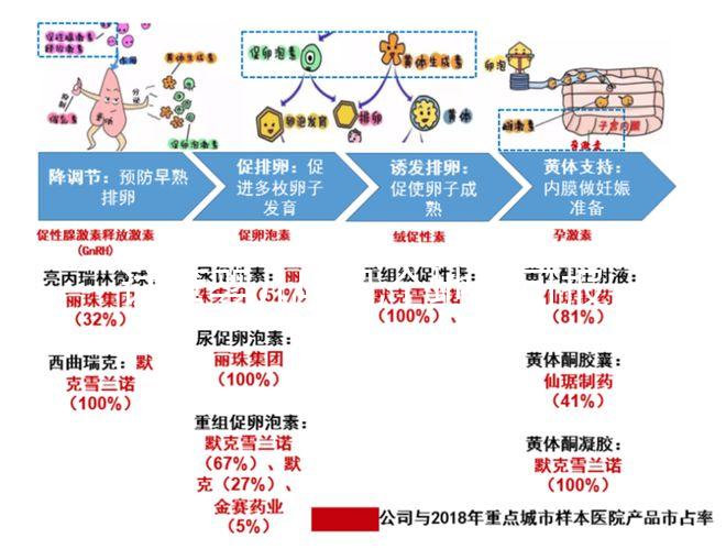 試管嬰兒哪幾個地區(qū)可報銷醫(yī)保