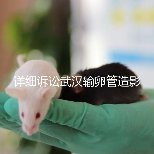 詳細訴訟武漢輸卵管造影檢查多少錢，能否報銷，不要錯過