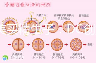 赴美買精生子:DC創始人葉海洋怒砸50萬生下五國混血兒
