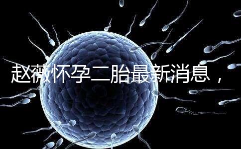 趙薇懷孕二胎最新消息，大肚子照公布網友紛紛送祝福