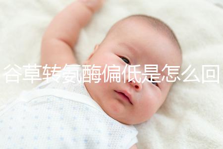 谷草轉(zhuǎn)氨酶偏低是怎么回事?肝功能異常為其主要原因