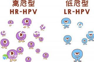誰說不辦準(zhǔn)生證不能上戶,2020年生育新政策了解下!
