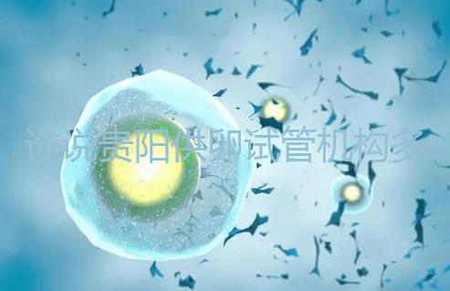 誰說貴陽供卵試管機構多給錢就不用排隊，醫生：不亂收費