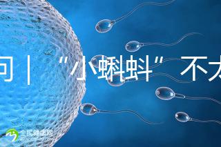 追問｜“小蝌蚪”不太給力，一代二代試管嬰兒技術(shù)哪個強？