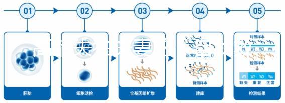高齡失獨夫妻的“自我救贖”，為什么大都會選擇做試管嬰兒？