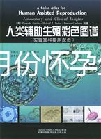 40歲幾月份懷孕生男孩？你想要的答案在生男生女清宮圖