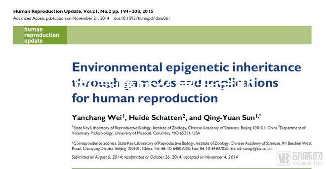 60秒弄懂什么是安全期，女生們別再和黃體期混為一談！
