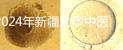 2024年新疆助孕中醫數不勝數，頂尖專家技能水平高