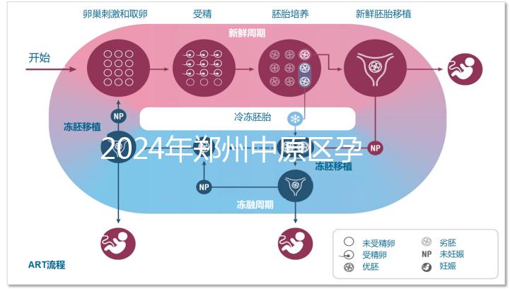 2024年鄭州中原區(qū)孕前檢查免費政策,選擇合適的醫(yī)院可以節(jié)省數(shù)百人