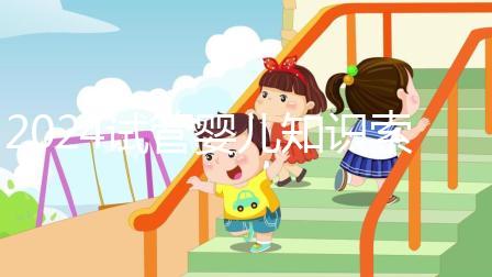 2024試管嬰兒知識索引:竇卵泡,基礎(chǔ)卵泡質(zhì)量比數(shù)量更重要