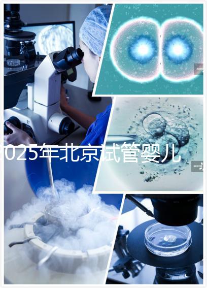 2025年北京試管嬰兒機(jī)構(gòu)哪家強(qiáng)？生育旅程如何開啟？