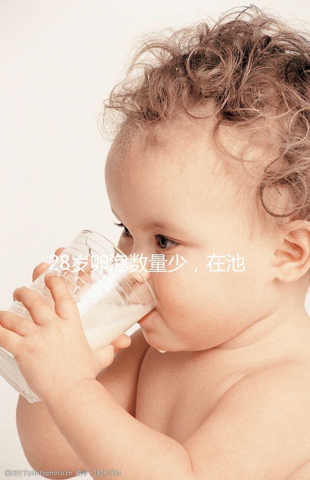 28歲卵泡數量少，在池州能不能做試管嬰兒？