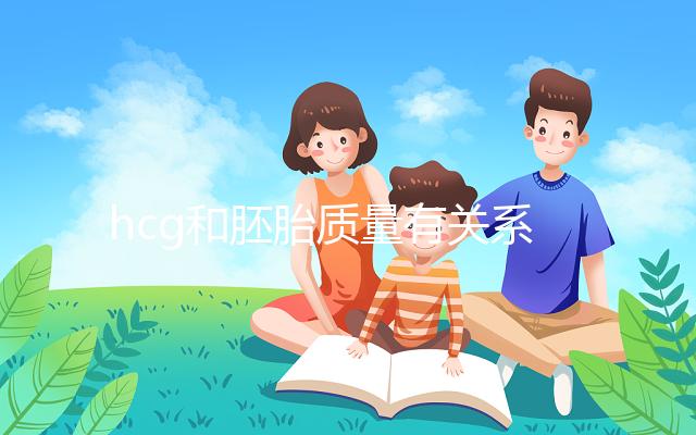 hcg和胚胎質量有關系？hcg低并不一定是胚胎不好！
