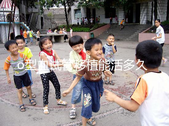 o型血試管移植能活多久？壽命長的關鍵在于這些點